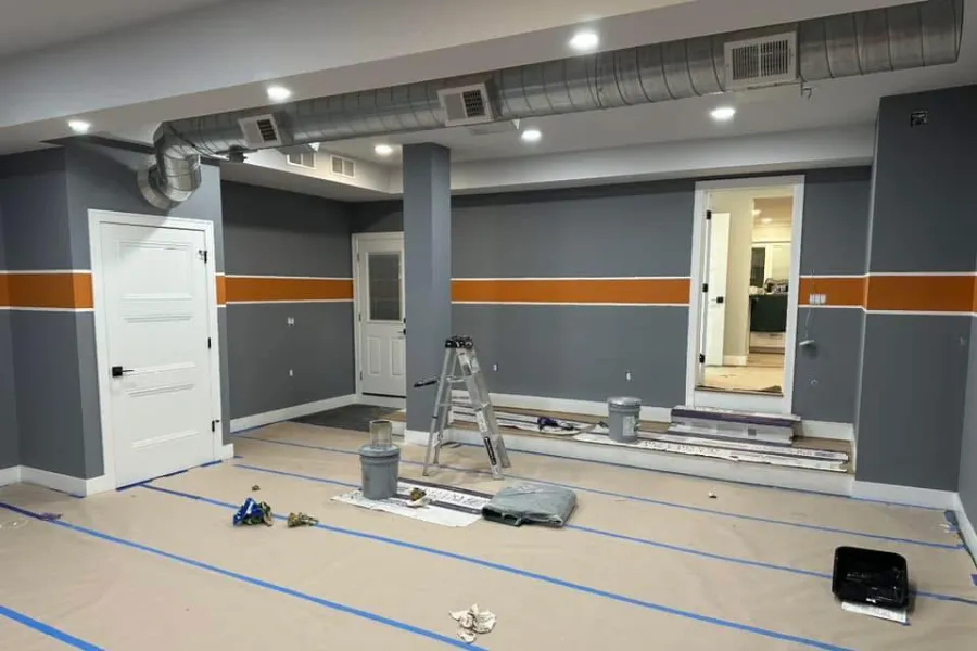 Professional Painter